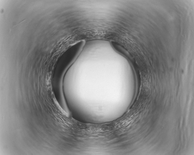 X0000088080818200705111000