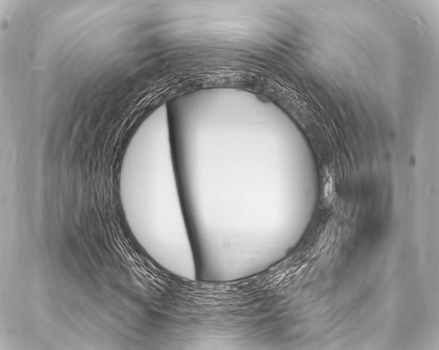 X0000088080819200705111000