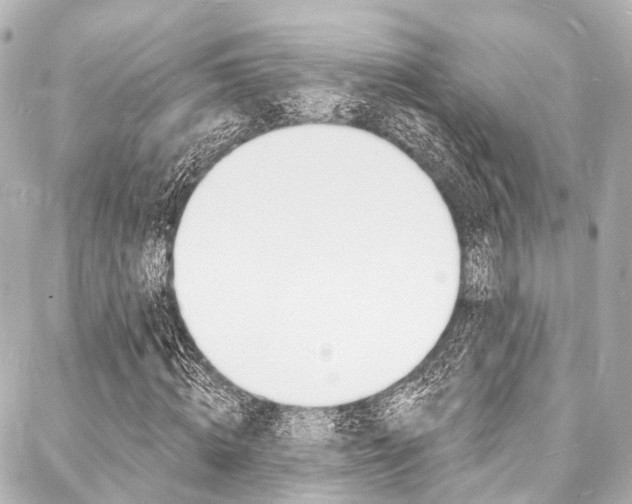 X0000088080820200705111000