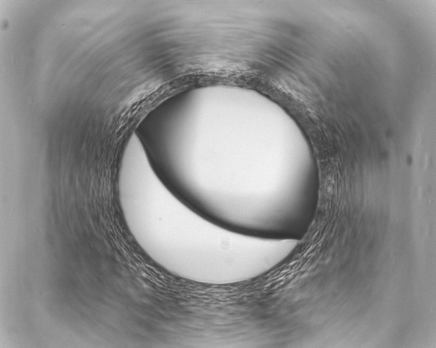X0000088080869200705111000