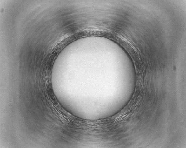 X0000088080870200705111000