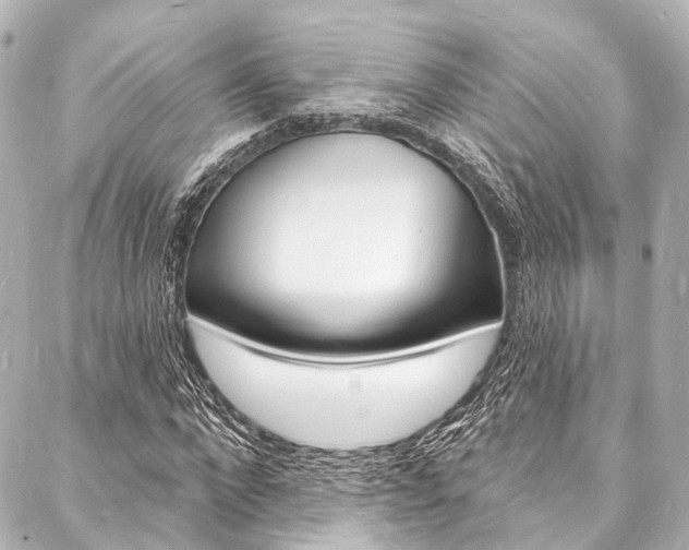 X0000088080872200705111000
