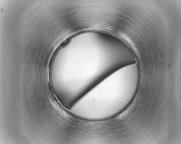 X0000088080892200705110959