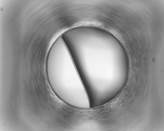 X0000088080912200705110959