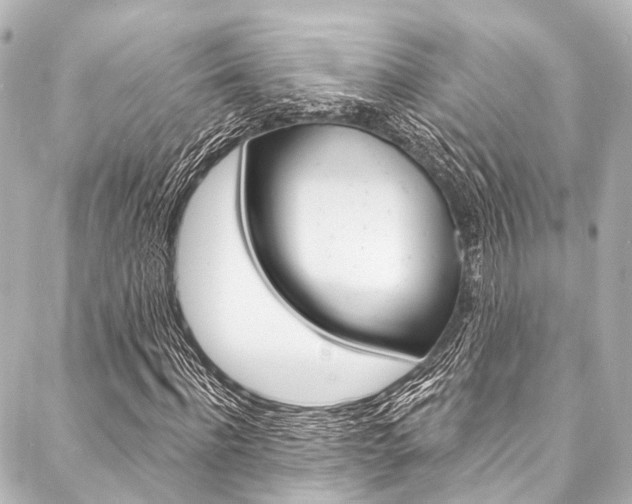 X0000088080916200705110958