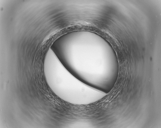 X0000088080919200705110958