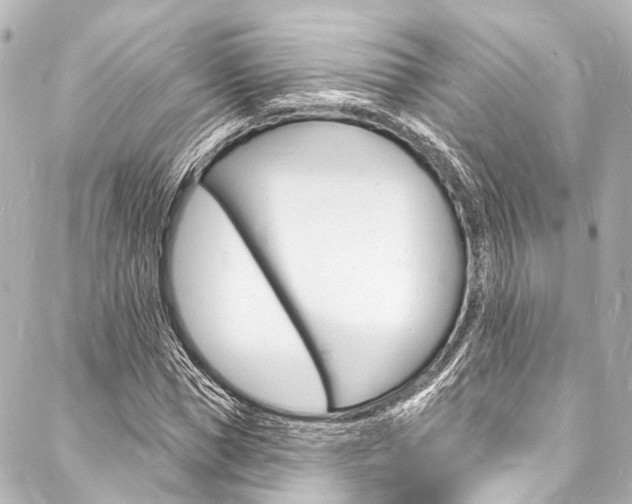 X0000088080921200705110958