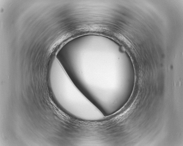 X0000088080922200705110958