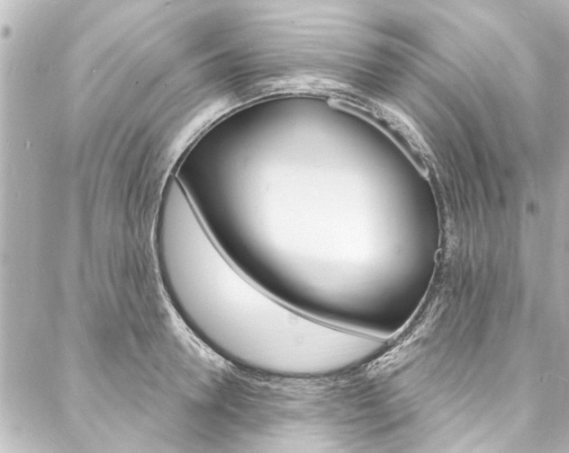 X0000088080946200705110959