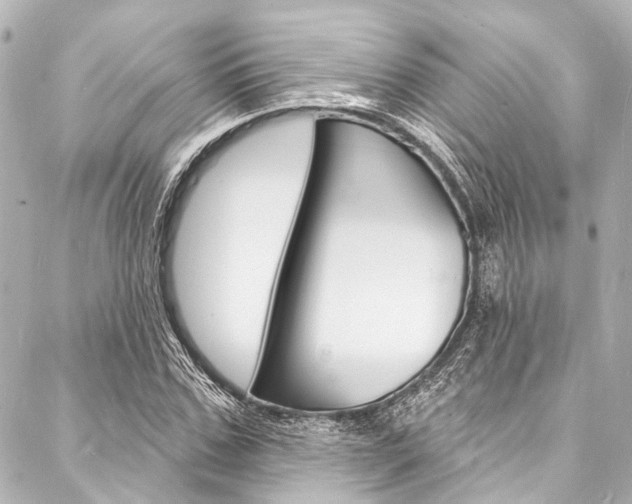 X0000088080971200705110958