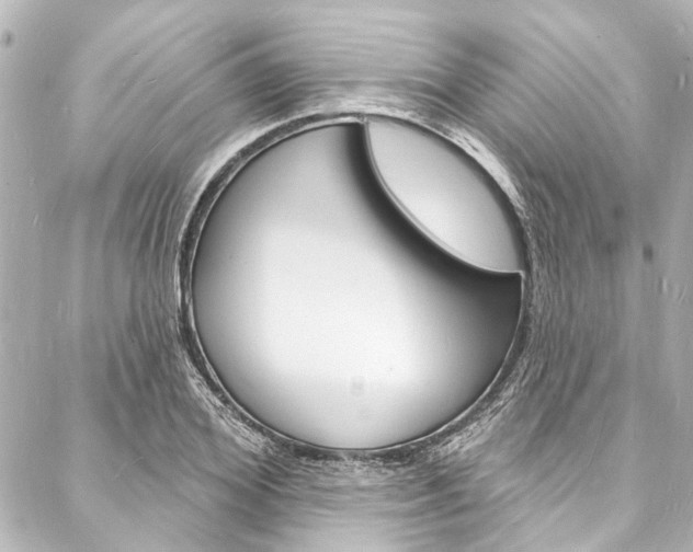 X0000088080980200705110958