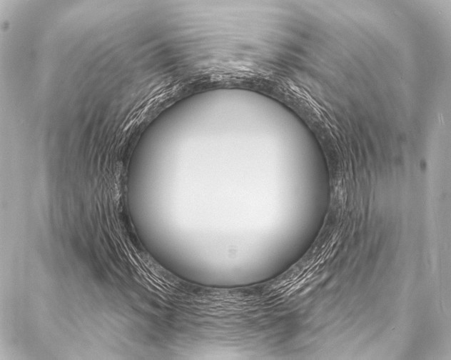X0000088081012200705110957