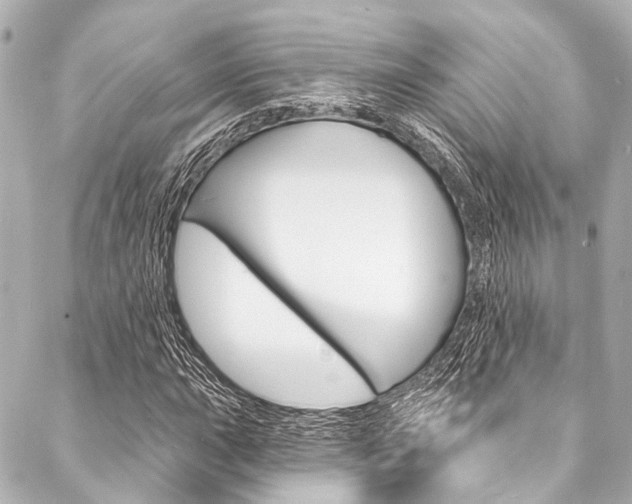 X0000088081015200705110957