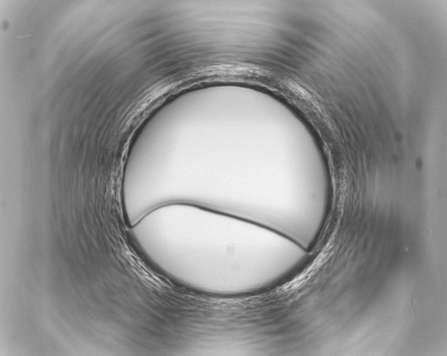X0000088081017200705110957