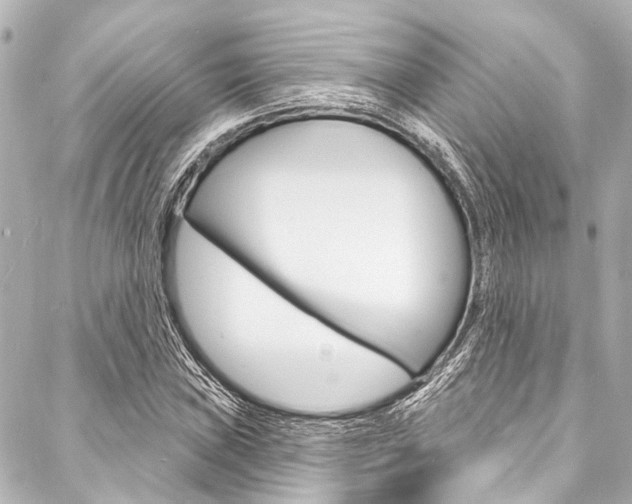 X0000088081019200705110957