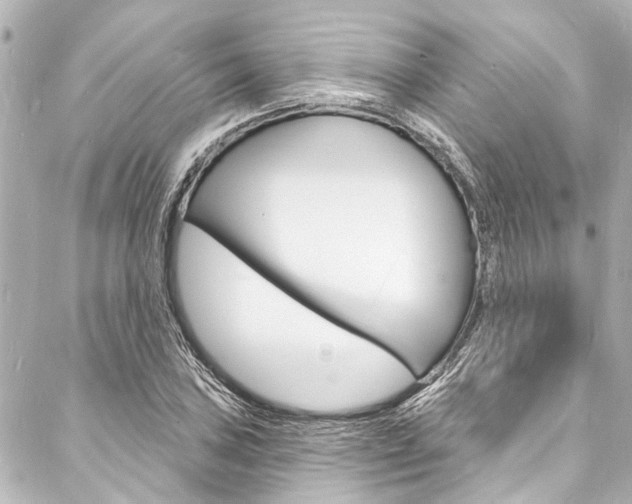 X0000088081027200705110957
