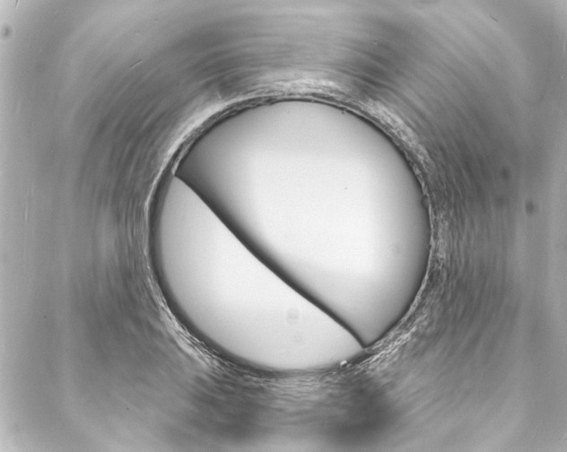 X0000088081031200705110957
