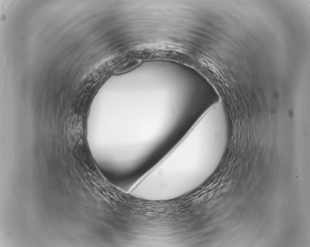 X0000088081062200705110957