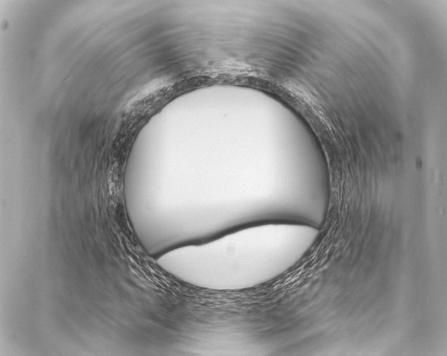 X0000088081063200705110957