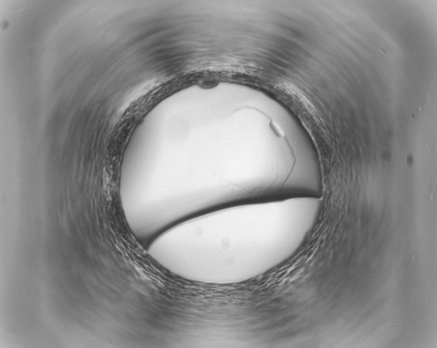 X0000088081064200705110957