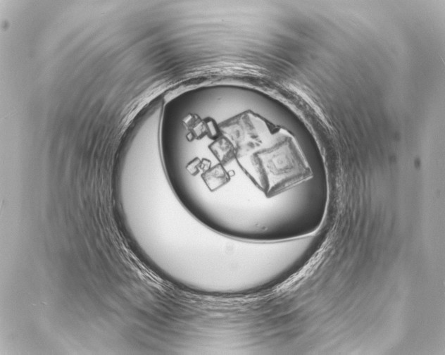 X0000088081065200705110957