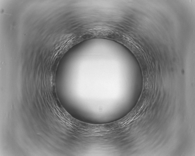 X0000088081108200705110955