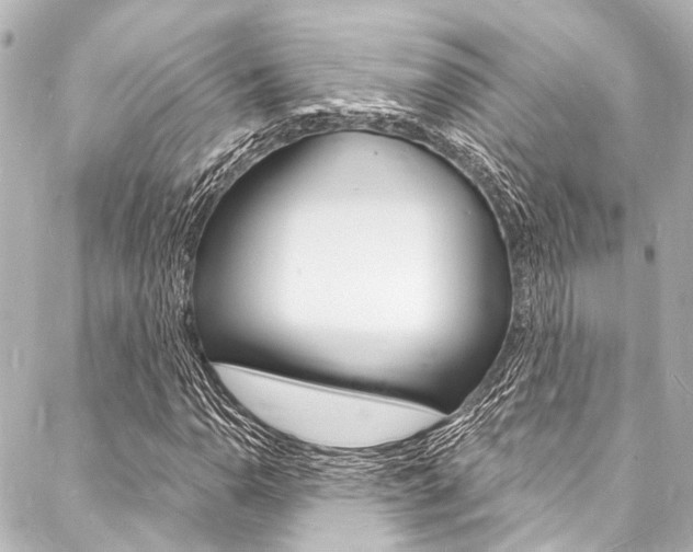X0000088081110200705110955