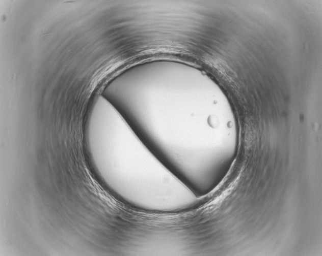 X0000088081113200705110955