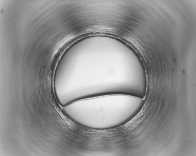 X0000088081115200705110955