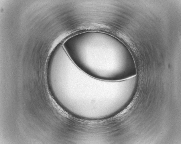 X0000088081122200705110955