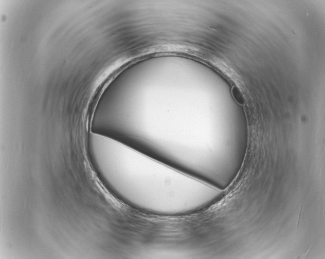 X0000088081127200705110956