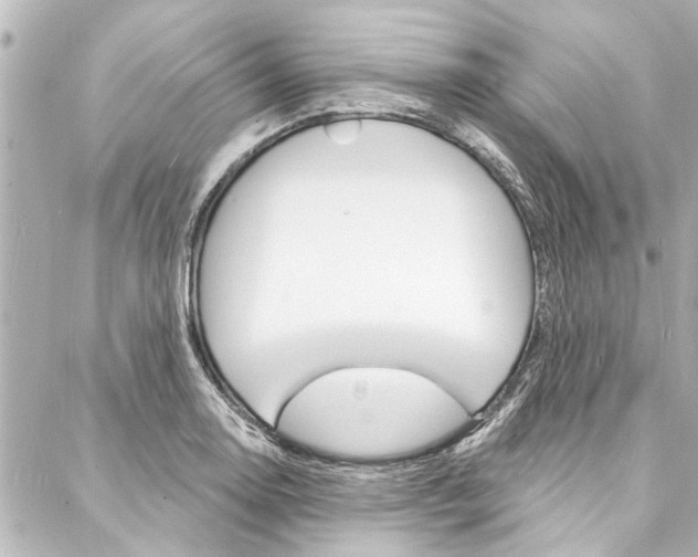 X0000088081130200705110956
