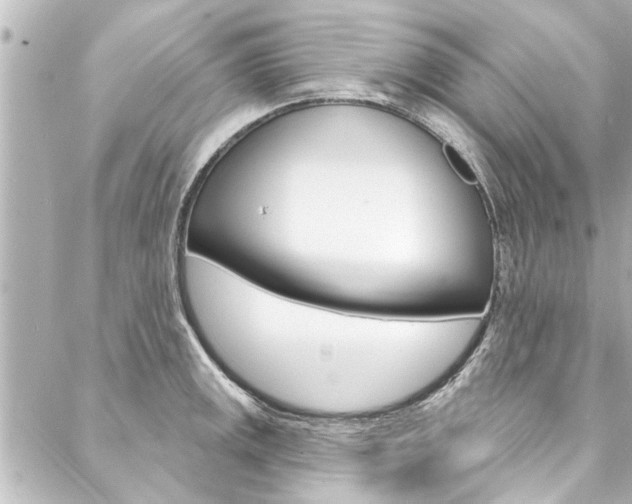 X0000088081141200705110956