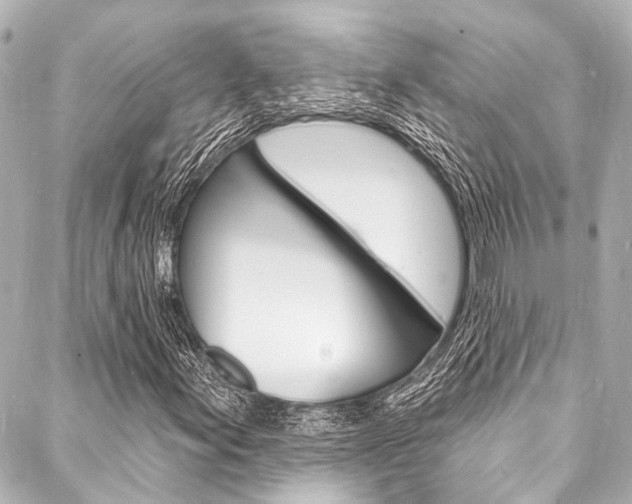 X0000088081155200705110955