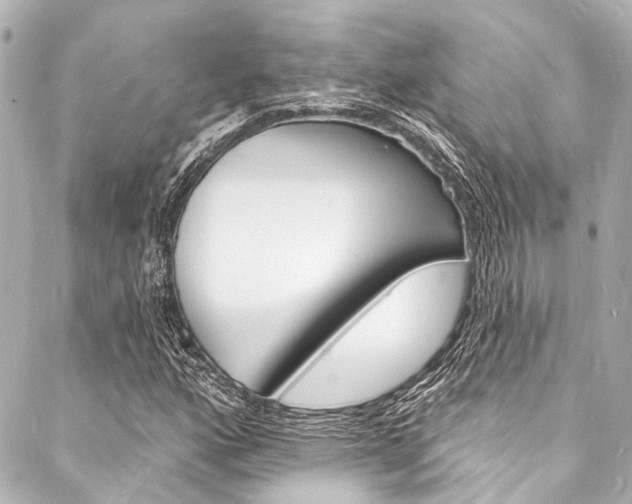 X0000088081160200705110955