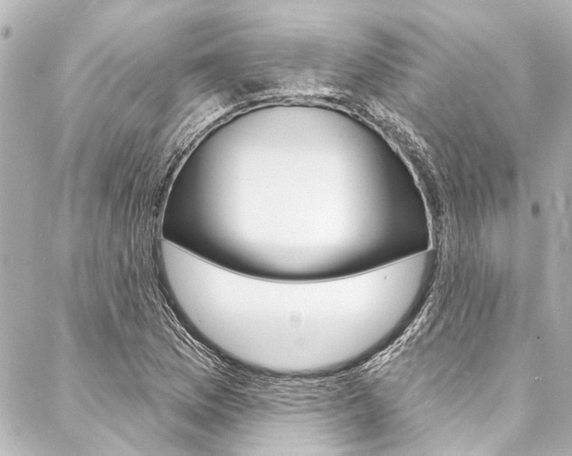 X0000088081169200705110955