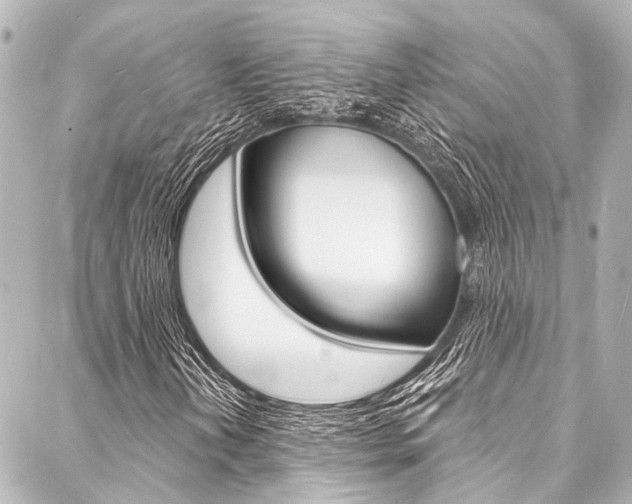 X0000088081202200705110954