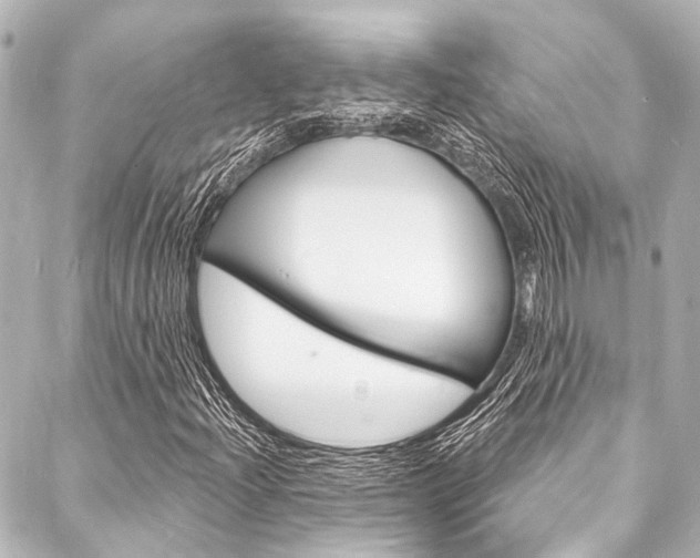 X0000088081204200705110954