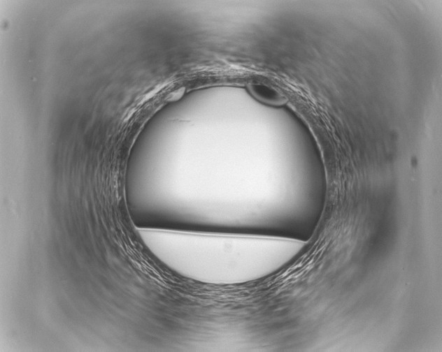 X0000088081205200705110954