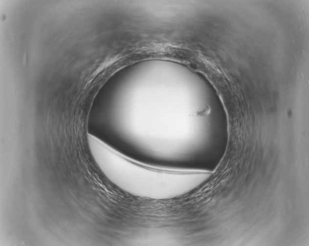X0000088081206200705110954