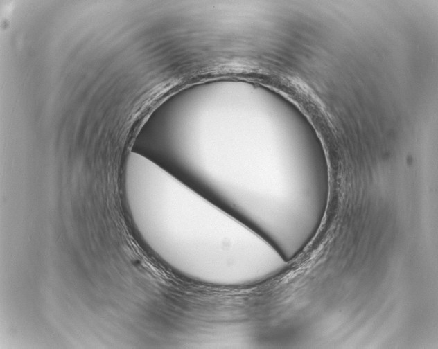 X0000088081217200705110954