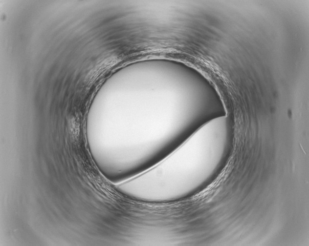 X0000088081257200705110953