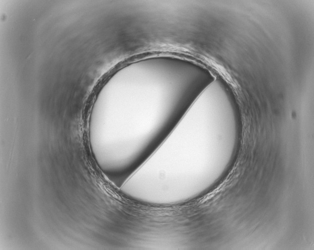 X0000088081264200705110953