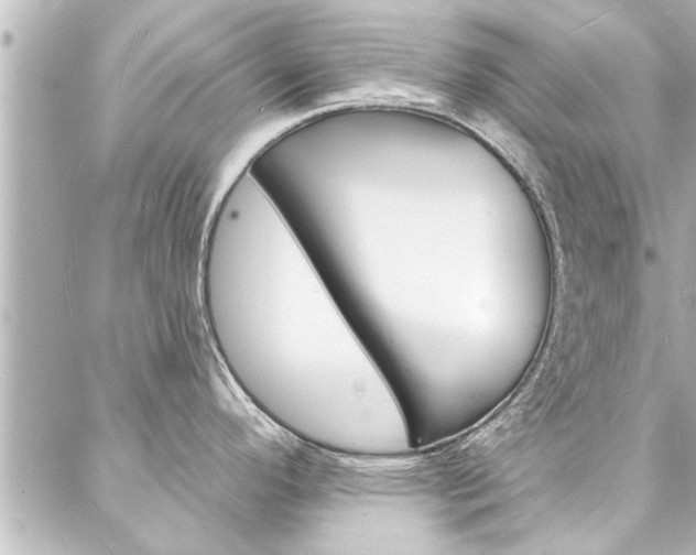 X0000088081296200705110953