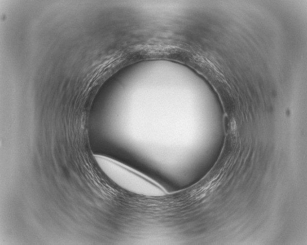 X0000088081300200705110952