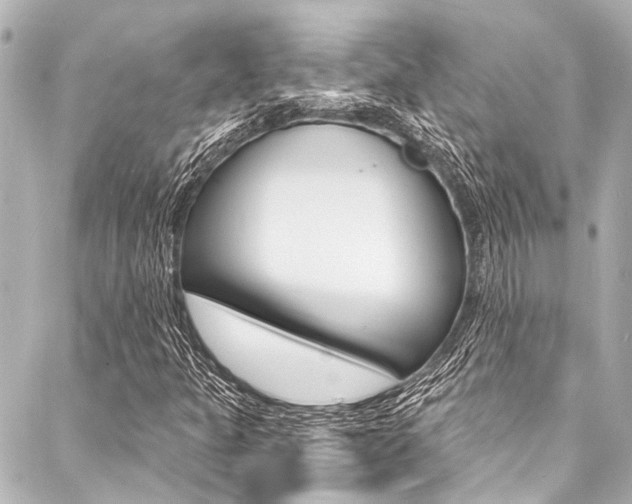X0000088081301200705110952
