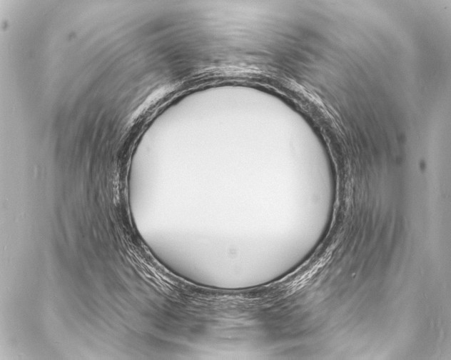 X0000088081306200705110952