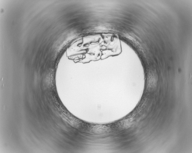 X0000088081314200705110952
