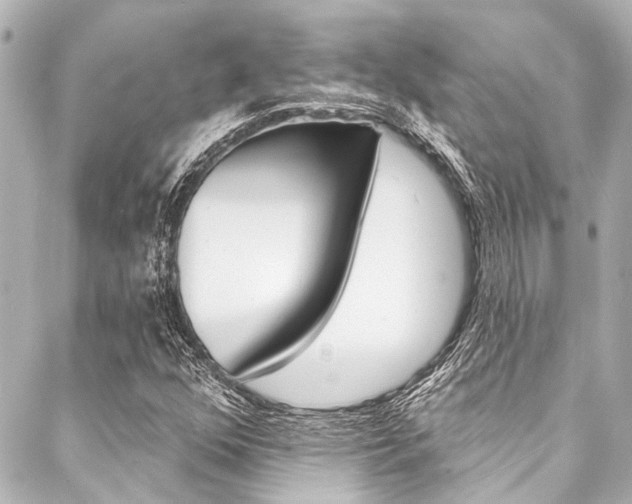 X0000088081352200705110952
