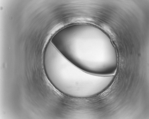 X0000088081384200705110951